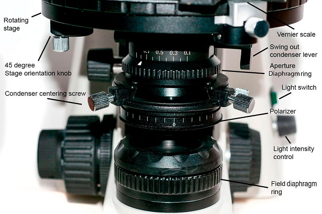 MOTIC BA310POL主要部件结构图解：下偏振镜