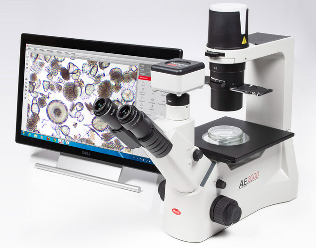 麦克奥迪MOTIC 倒置生物显微镜AE2000-T三目型