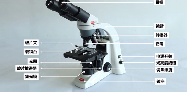 MOTIC 生物显微镜BA210系列结构图解