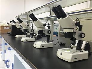 安农大采购MOTIC 体视、生物显微镜